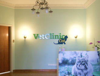 clinica-especialista-em-gatos