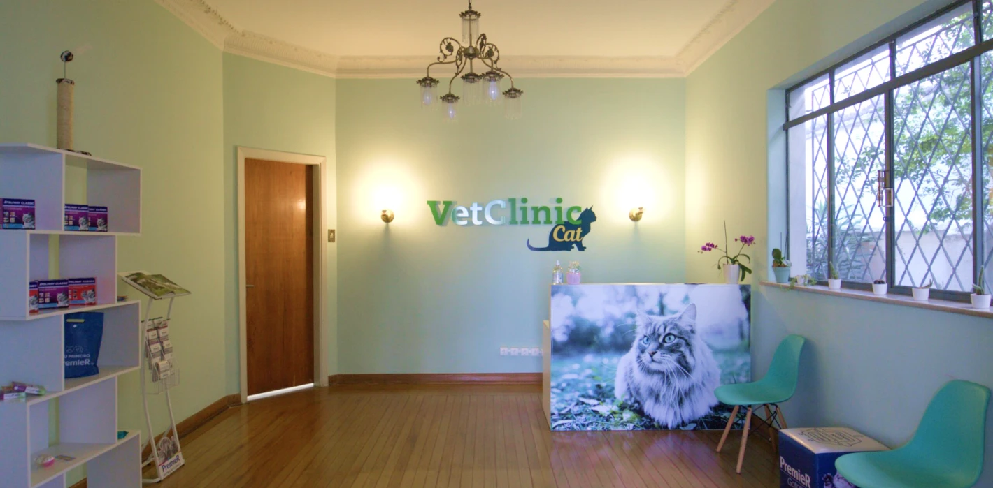 clinica-veterinaria-para-felinos