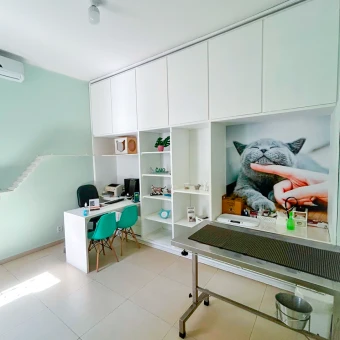 consultorio-cat-friendly-são-paulo